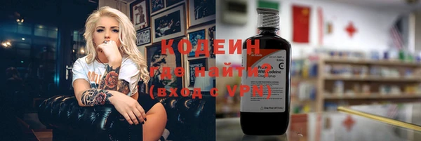 крисы Кулебаки