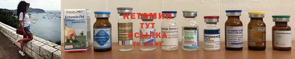 крисы Кулебаки
