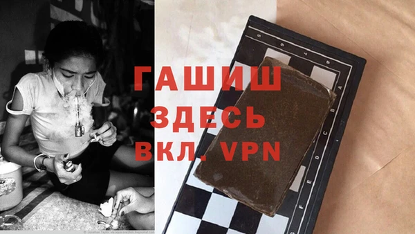 крисы Кулебаки