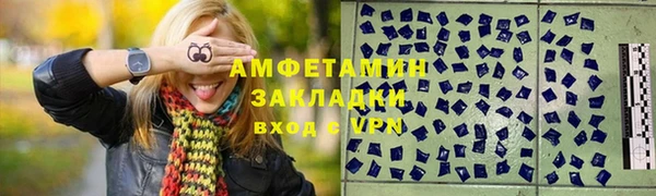 крисы Кулебаки