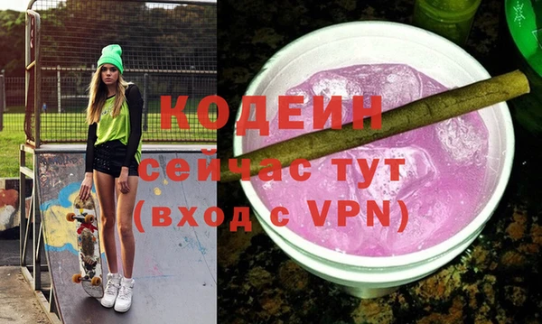крисы Кулебаки