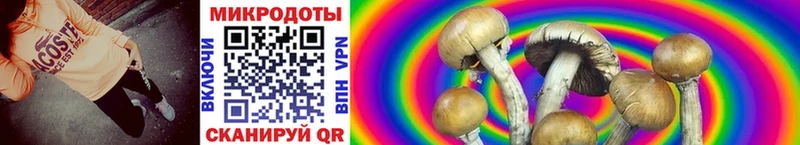 Галлюциногенные грибы Cubensis  Купить где  Менделеевск 